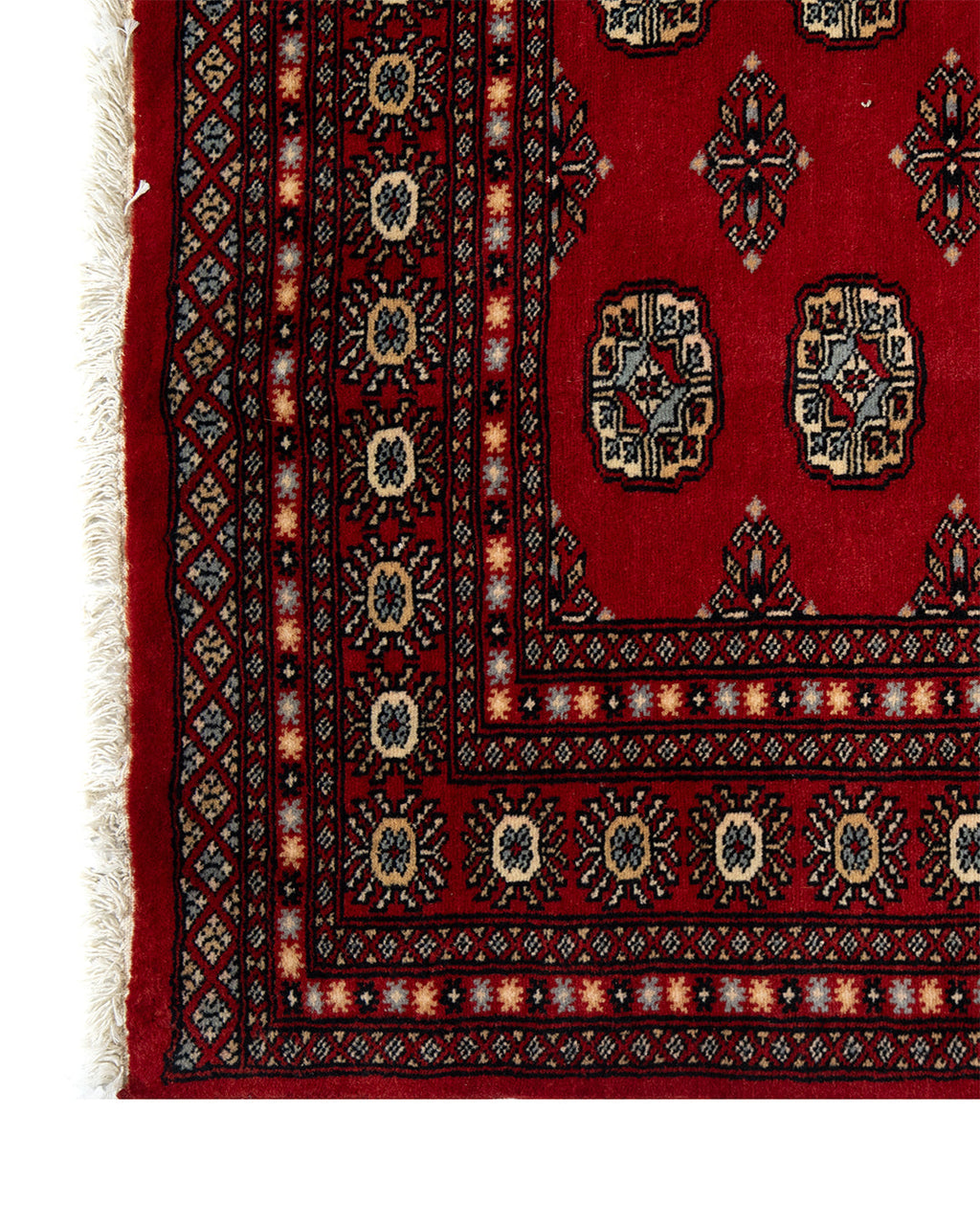 Psd495 Bokhara Rug 247 x 170 cm