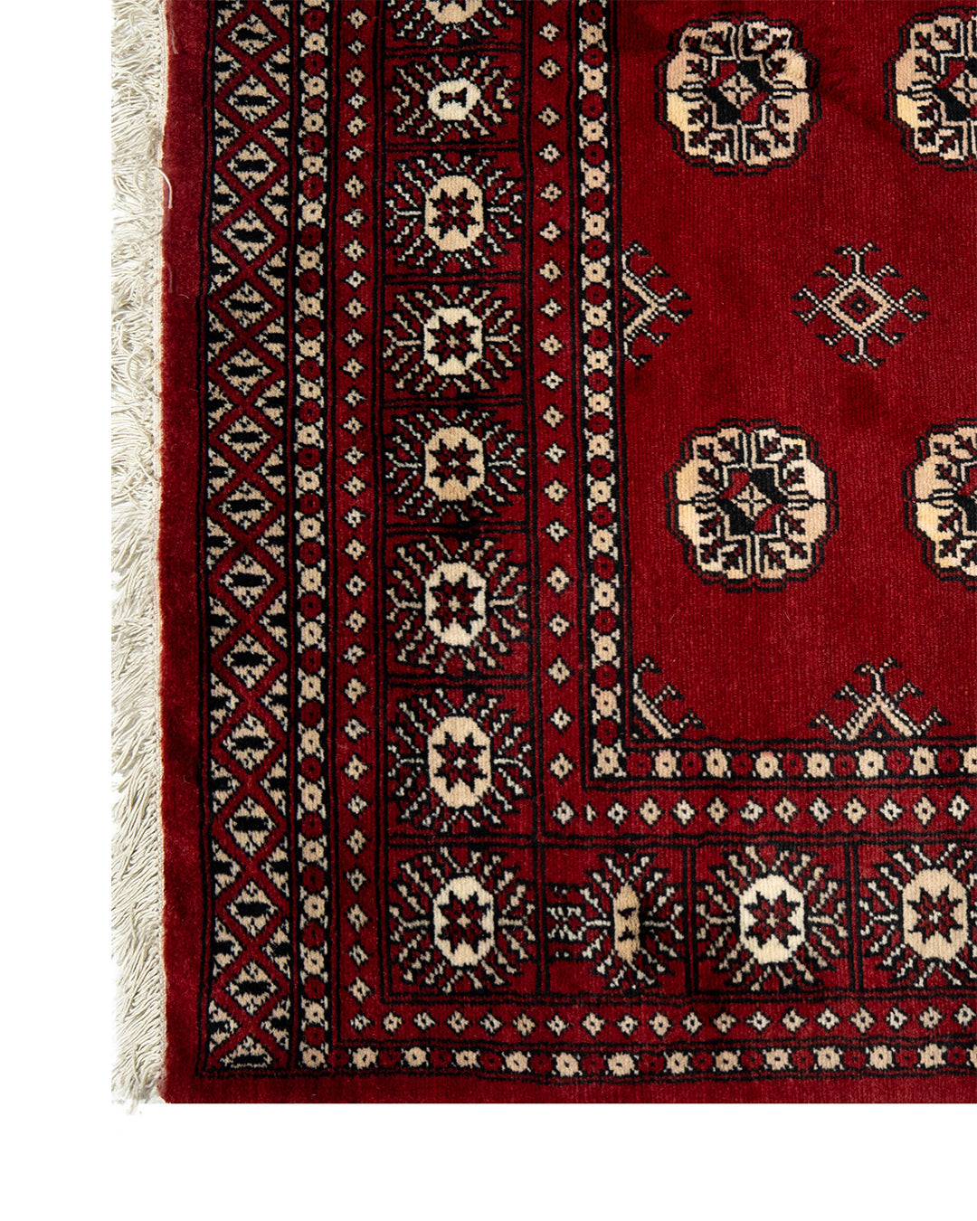 Psd435 Bokhara Rug 253 x 155 cm