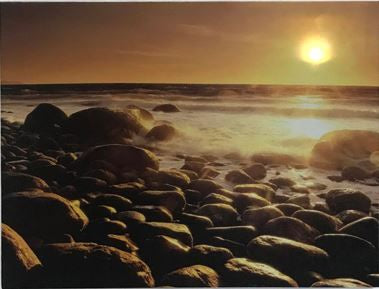 Led Lit Canvas 30 x 40 cm Down To Earth